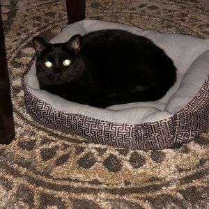 Meet your Posher, Alice